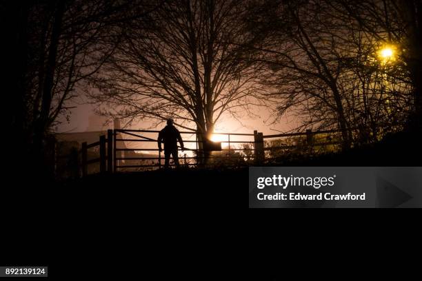 winter silhouette - aterrorizado imagens e fotografias de stock