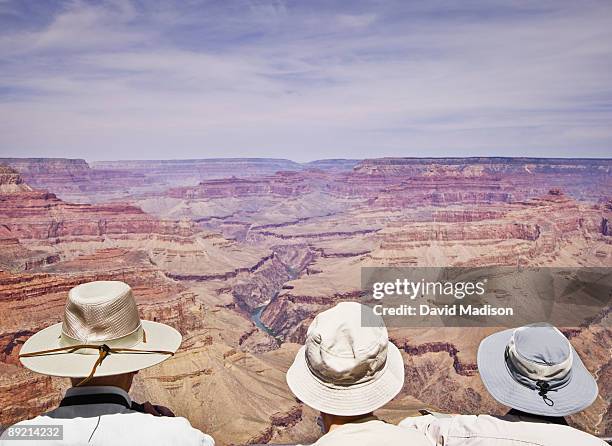 tourists at pima point overlook. - grand canyon south rim stock-fotos und bilder