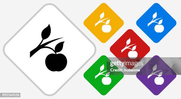 growing apple color diamond vector icon - hanging succulent stock illustrations