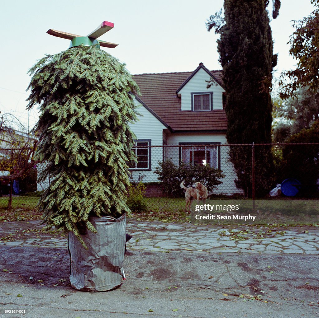 Christmas tree upside down in trash can in front of house