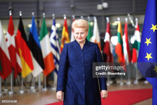 Dalia Grybauskaite, Lithuania's president, arrives at a European Union leaders summit at the Europa Building in Brussels, Belgium, on Thursday, Dec....