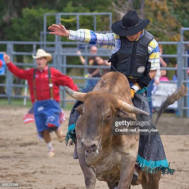 rodeo cowboy riding a bull - head on - west texas stock pictures, royalty-free photos & images