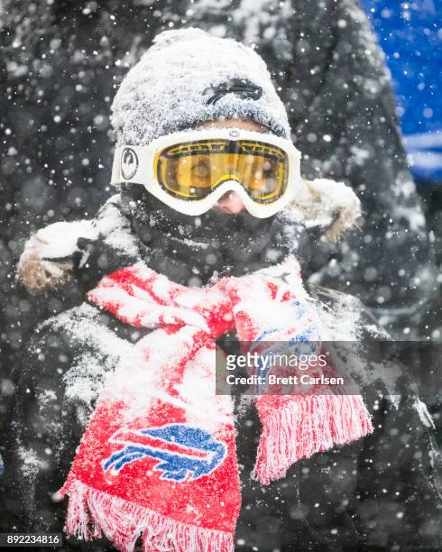Buffalo Bills fan watches game action between the Buffalo Bills and the Indianapolis Colts during heavy snowfall at New Era Field on December 10,...