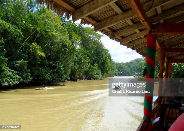 amazon rainforest - paratransit bildbanksfoton och bilder
