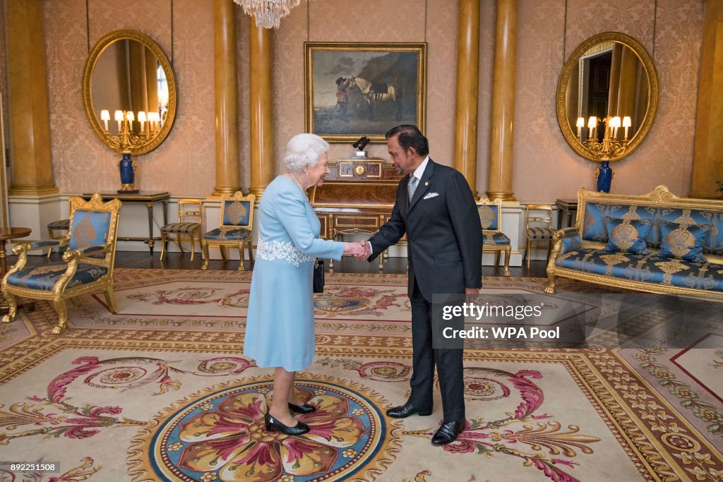 Audience at Buckingham Palace