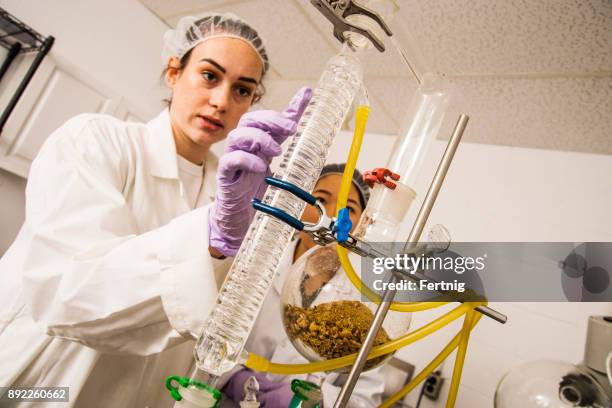 zwei techniker arbeiten in einem labor pflanzliche naturkosmetik. - destillation stock-fotos und bilder