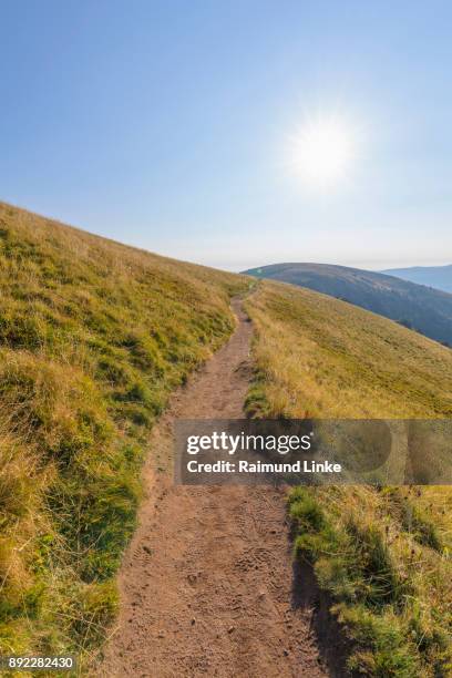 trail in mountain landscape with sun, le hohneck, stosswihr, vosges, france - vosges platz stock-fotos und bilder