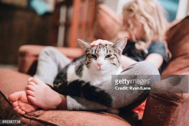 katze ruht im schoß des mädchens auf sessel - kid with cat stock-fotos und bilder