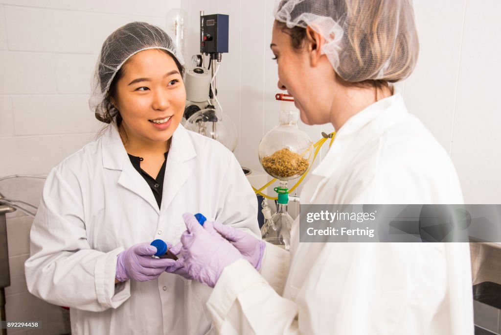 Deux techniciens qui travaillent dans un laboratoire de produits cosmétiques naturels à base de plantes.