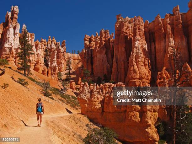 walking in bryce canyon - bryce canyon - fotografias e filmes do acervo