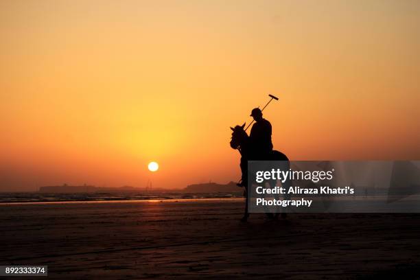 polo player and horse silhouette sunset - polo horse stock-fotos und bilder