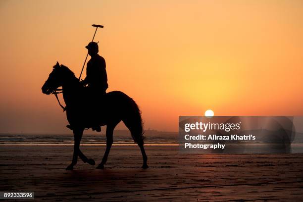 polo player and horse silhouette sunset - polo stock pictures, royalty-free photos & images