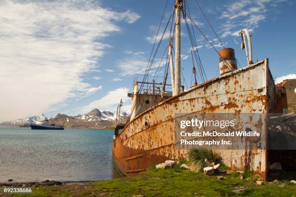 whaling ship at grytviken - st andrew's bay stock pictures, royalty-free photos & images