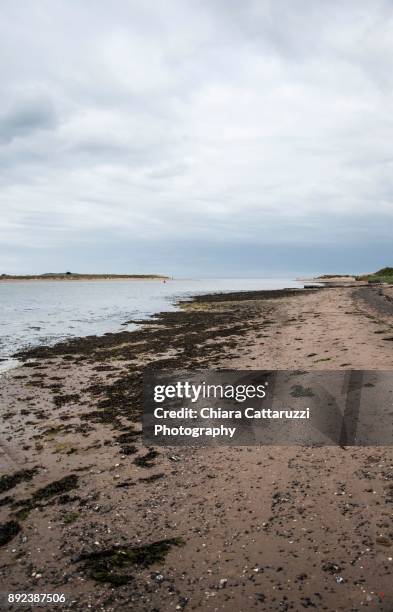 irish sandy beach in a cloudy landscape - malahide beach stock pictures, royalty-free photos & images