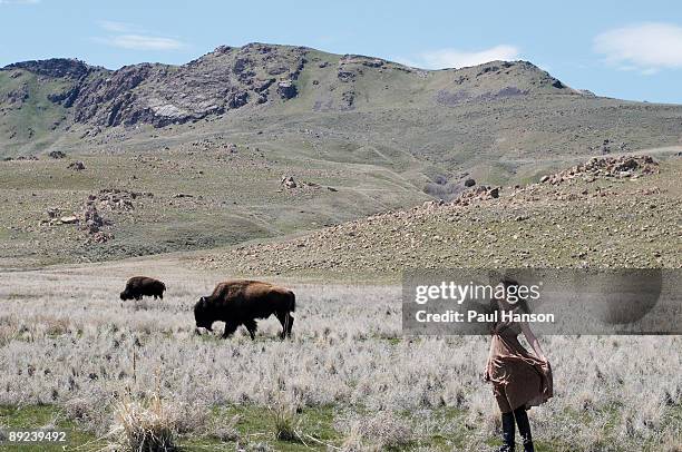 woman in field with buffalo - ilha de antelope imagens e fotografias de stock