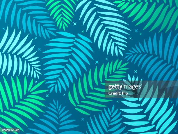 ilustraciones, imágenes clip art, dibujos animados e iconos de stock de fondo tropical palm - palm branch