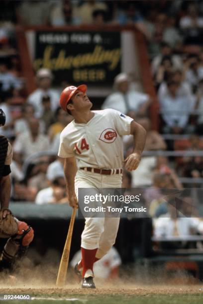 Infielder Pete Rose of the Cincinnati Reds watches a ball he's just popped up during a game in 1969 against the San Diego Padres at Crosley Field in...