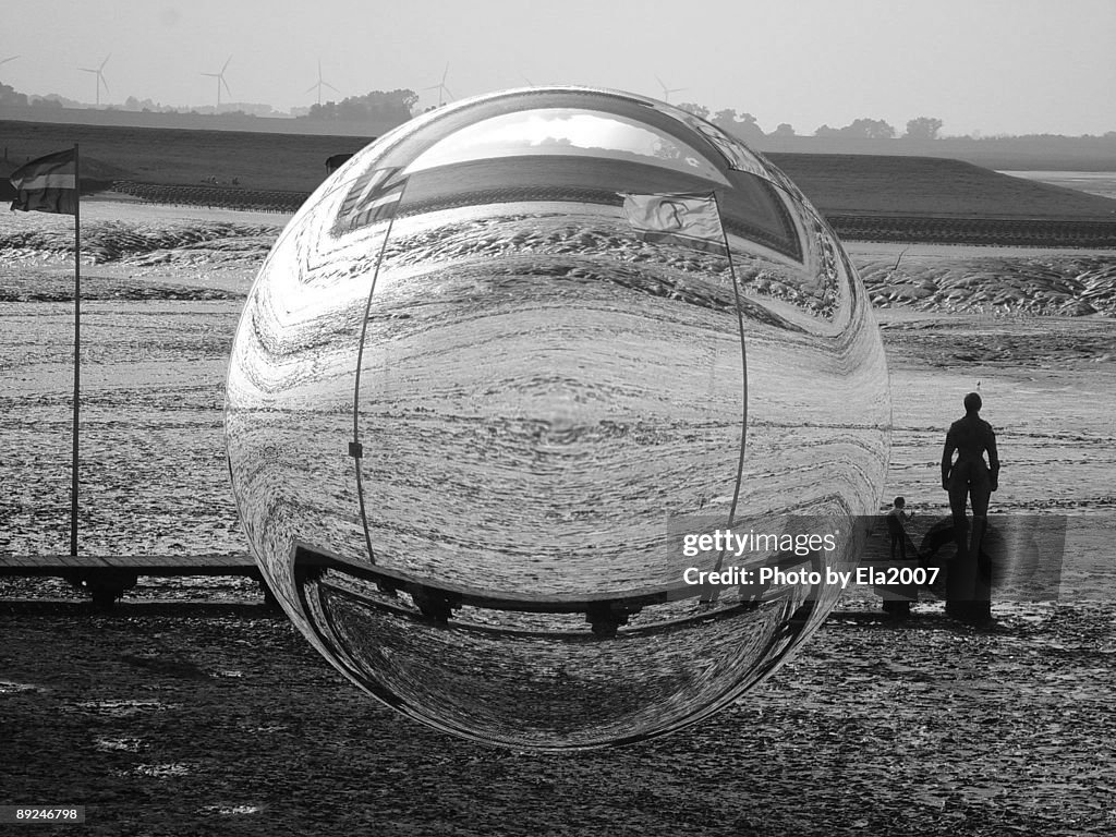 Lupenwelt - Schillig - Friesland - Germany