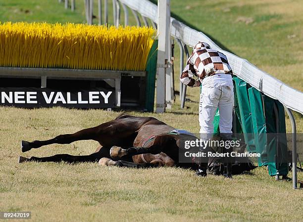 Nathan Dunn jockey of Bowemma checks on his horse after a fall in race one the Dominant Barr Smith Hurdle during the Dominant Hiskens Race Day at...