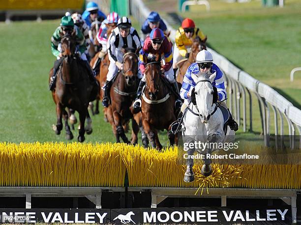 Rude 'n' Abrupt riden by Adam Trinder leaps over the steeple during race one the Dominant Barr Smith Hurdle during the Dominant Hiskens Race Day at...