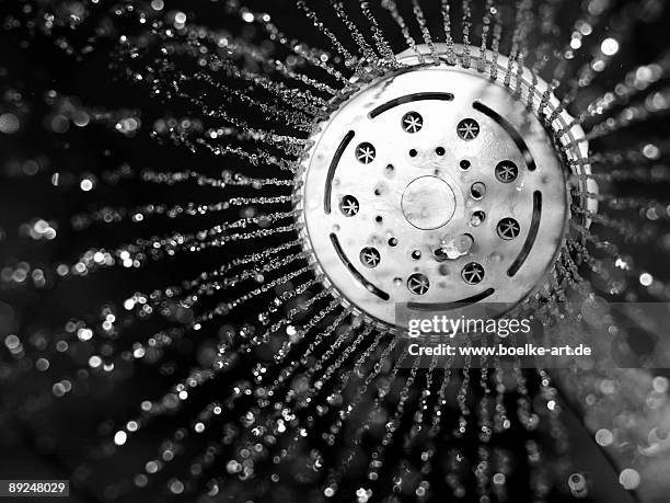 its raining again - shower head stock pictures, royalty-free photos & images