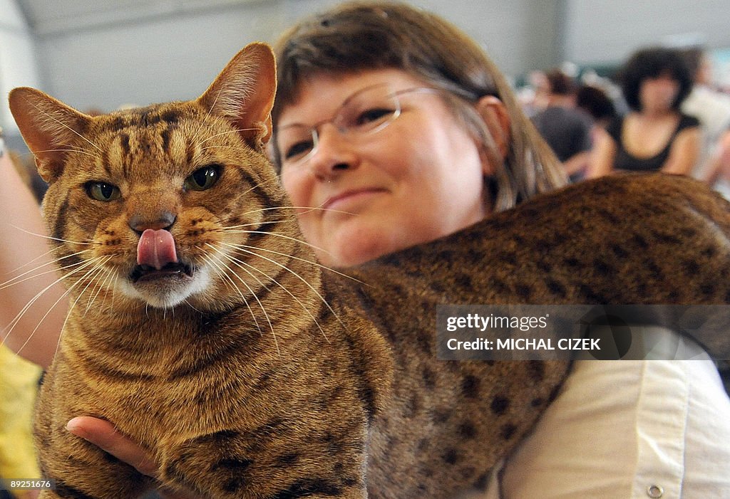 An owner poses with her Ocicat cat on Ju
