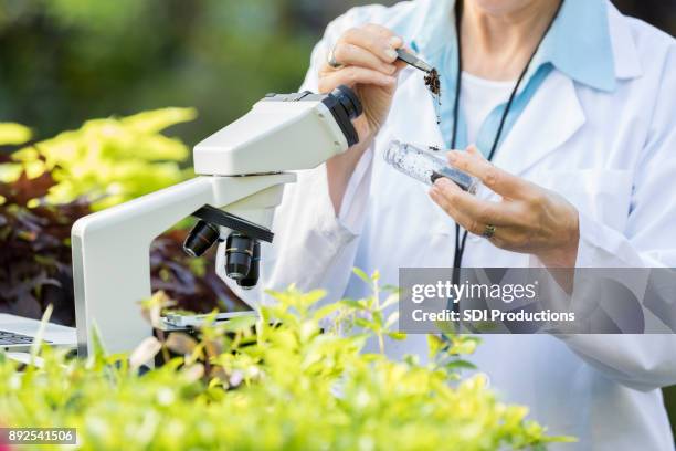 unrecognizable female botanist with soil sample - sample holder stock pictures, royalty-free photos & images
