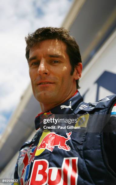 Mark Webber of Australia and Red Bull Racing prepares to drive during the final practice session prior to qualifying for the Hungarian Formula One...