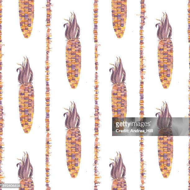 ilustraciones, imágenes clip art, dibujos animados e iconos de stock de acuarela de indio maíz en patrón transparente de vector - maíz criollo