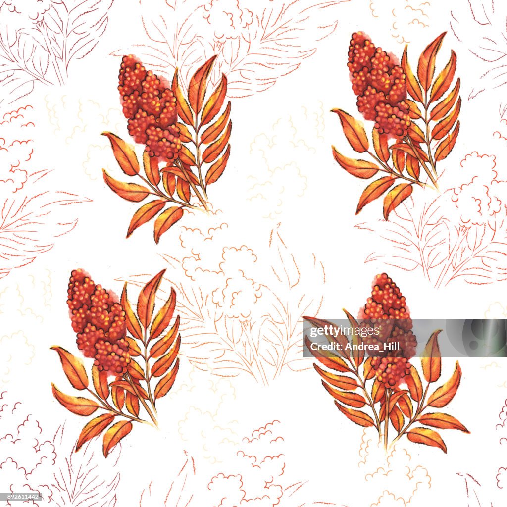 Vector Watercolor Sumac Berries and Leaves Seamless Pattern.