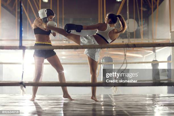 women's fight in a boxing ring! - muaythai boxing stock pictures, royalty-free photos & images