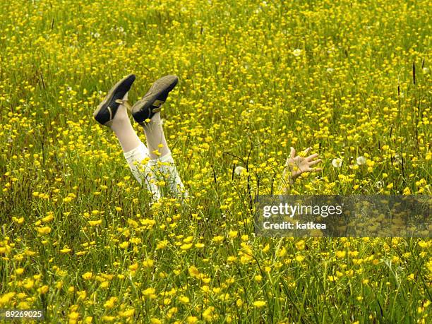 Leg With Spring Spring Legs Photos and Premium High Res Pictures - Getty Images
