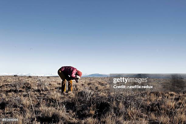 woman taking a photograph - older woman bending over stock pictures, royalty-free photos & images