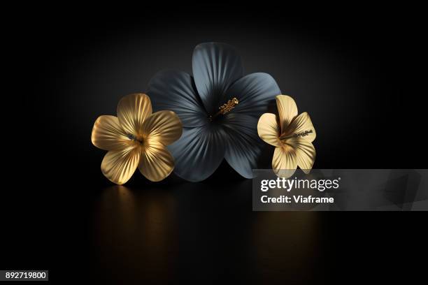 hibiskus gold - funeral flowers stockfoto's en -beelden