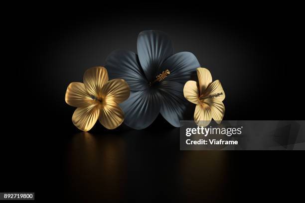 hibiskus gold - funeral background stock pictures, royalty-free photos & images