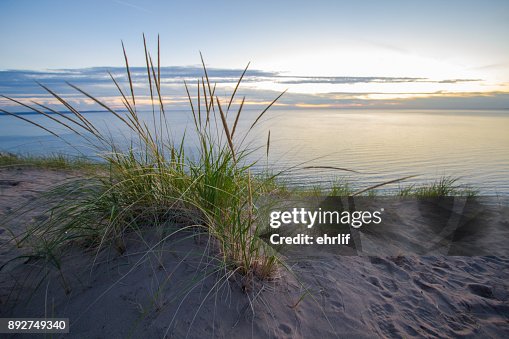 Sanddynerna och Dune gräs på Lake Michigan kusten i sovande björnen Dunes National Lakeshore i Michigan Sanddynerna och Dune gräs på Lake Michigan kusten i sovande björnen Dunes National Lakeshore i Michigan