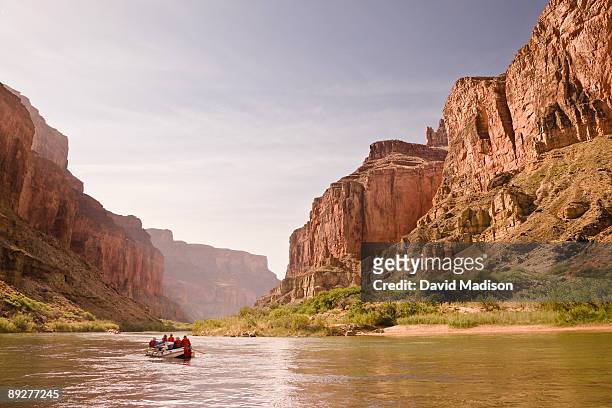 oar raft on colorado river in early morning. - colorado river stock pictures, royalty-free photos & images