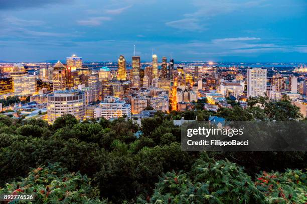 vue sur la ville de montréal au coucher du soleil - mont royal photos et images de collection