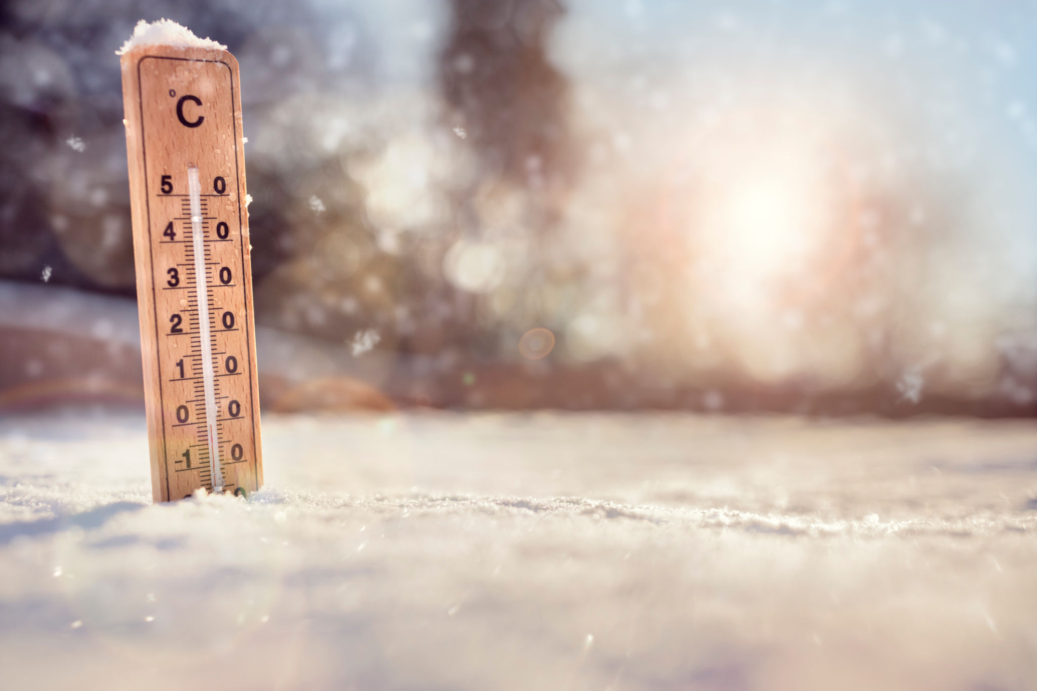 snowy weather forecast