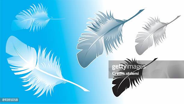plumelet - zero gravity flight stock illustrations