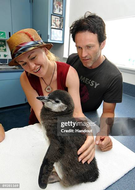 In this handout from SeaWorld San Diego, "True Blood" costars Anna Paquin and Stephen Moyer hold a two-month-old Magellanic penguin chick at SeaWorld...