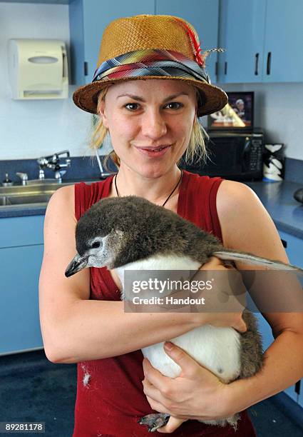 In this handout from SeaWorld San Diego, "True Blood" star Anna Paquin holds a two-month-old Magellanic penguin chick at SeaWorld San Diego's Penguin...