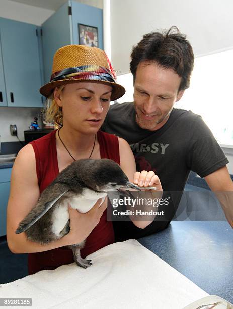 In this handout from SeaWorld San Diego, "True Blood" costars Anna Paquin and Stephen Moyer hold a two-month-old Magellanic penguin chick at SeaWorld...