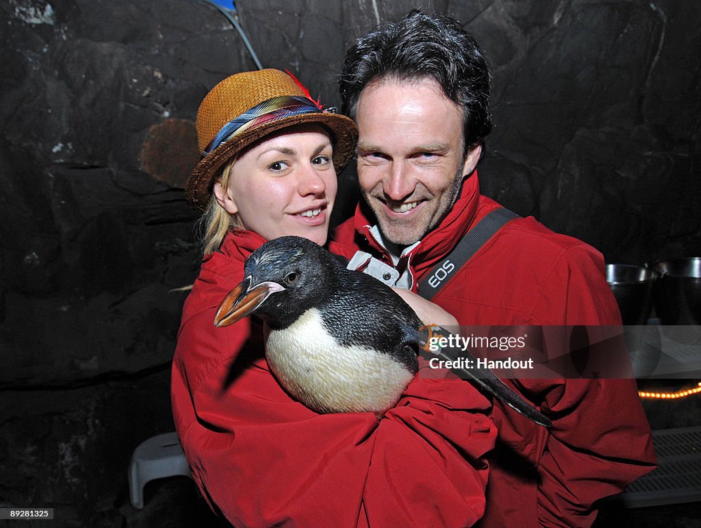 Anna Paquin And Stephen Moyer Visit Sea World In San Diego