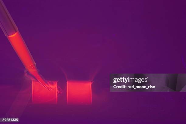 loading a dna agaraose gel - fluorescent stock pictures, royalty-free photos & images