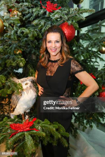 Sabine Petzl attends the Energy for Life Christmas gala for Children at Hofburg Vienna on December 14, 2017 in Vienna, Austria.