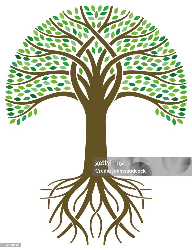 Fat Roots Vector Tree With Roots Illustration