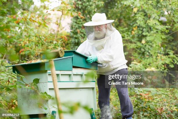 older man with beehives - beekeeping stock pictures, royalty-free photos & images