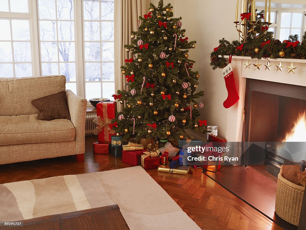 Gifts under Christmas tree in living room