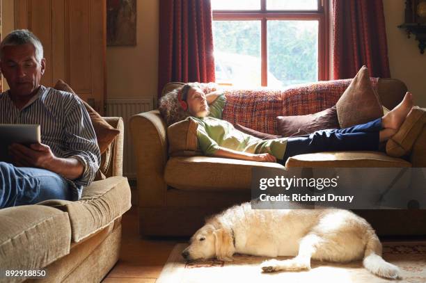 couple sitting on sofas using digital tablets - mann frau hund zuhause stock-fotos und bilder